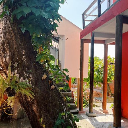 Morada Cacauera Apartamento Itacaré Exterior foto