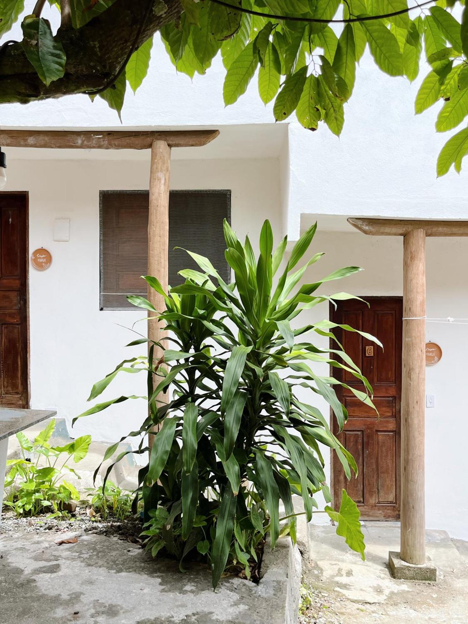 Morada Cacauera Apartamento Itacaré Exterior foto